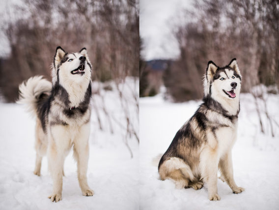 Aspen_CandaceKennedy_PS-20